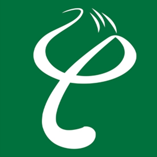 giacongmyphamhanoi